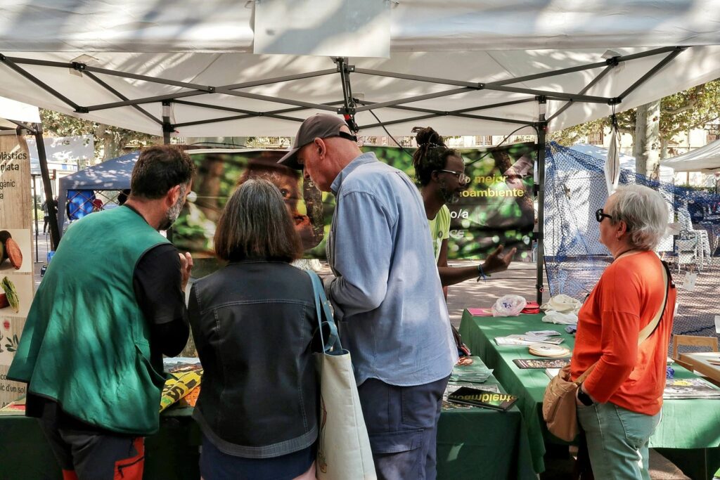 alba calbeto zuoqv1rmeak unsplash